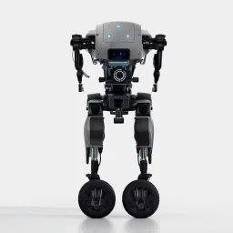 Autonomous Robot