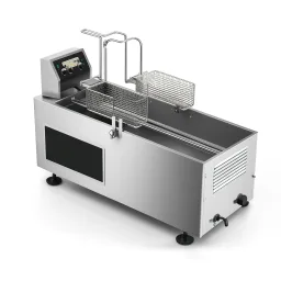 Continuous Fryer