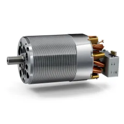 Medium Voltage Motor