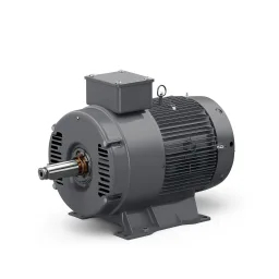 Oil Cooled Motor