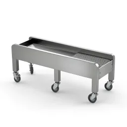 Sanitary Conveyor