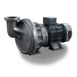 Sludge Pump