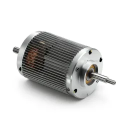 Squirrel Cage Induction Motor