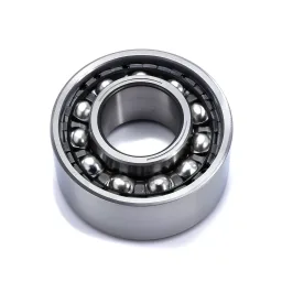Traction Motor Bearing